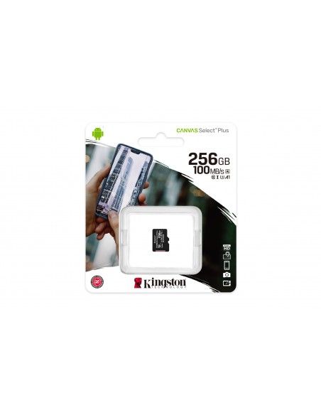 SDCS2/256GBSP: Memory Card Kingston Technology al miglior prezzo