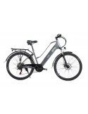 EMG QUEEN CY26ABi Bicicletta Elettrica 250 W 60 km Grigio