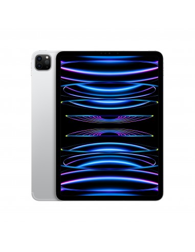 ipad-pro-11-wi-fi-cellular-128gb-argento-1.jpg