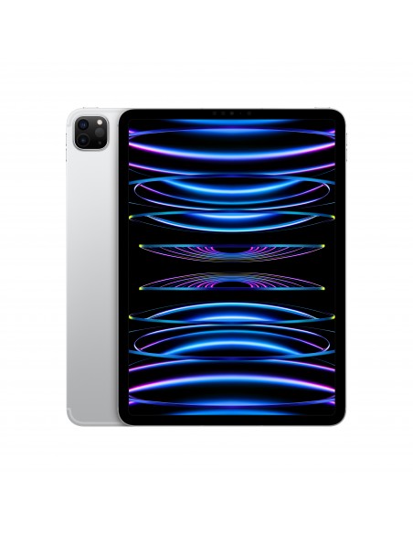 ipad-pro-11-wi-fi-cellular-128gb-argento-1.jpg