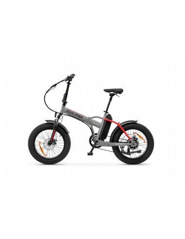 argento-e-bike-minimax-red-20x40-batt-litio-36v-10ahmax-25km-h-autonom-30-70k-1.jpg