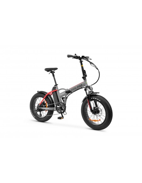 argento-e-bike-minimax-red-20x40-batt-litio-36v-10ahmax-25km-h-autonom-30-70k-3.jpg