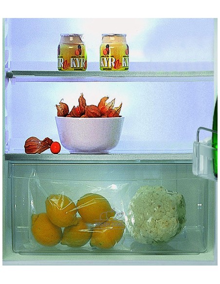 frigo-inc-2p-218lt-h144-traino-3.jpg