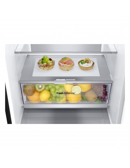 lg-frigo-gbv7280cev-neroc-h-p-l203x675x595inverternofrost387ltmetal-fresh-18.jpg