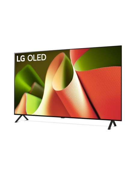 lg-oled-66-b46-uhd-new-2024-65-processore-a8-dolby-vision-dolby-atmos-1.jpg