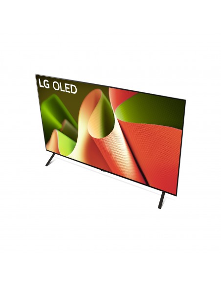 lg-oled-66-b46-uhd-new-2024-65-processore-a8-dolby-vision-dolby-atmos-19.jpg